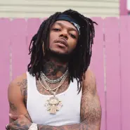 Cover art for Purple Paradise lyrics by JID