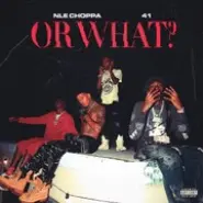 Cover art for Or What? lyrics by NLE Choppa & 41