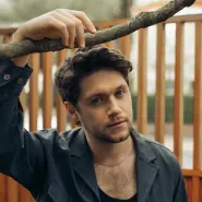 Cover art for Too Much to Ask lyrics by Niall Horan