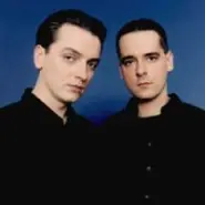 Cover art for Once In A Lifetime lyrics by Wolfsheim