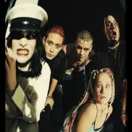 Cover art for Burgundy lyrics by Coal Chamber