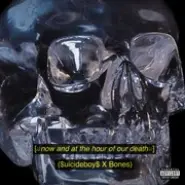 Cover art for Now And At The Hour Of Our Death.. lyrics by $uicideboy$ X BONES
