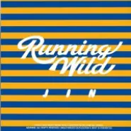Cover art for Running Wild lyrics by Jin