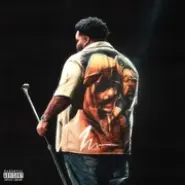 Cover art for Fall Fast In Love lyrics by Rod Wave