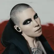 Cover art for Invisible lyrics by Skylar Grey