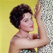 Cover art for Fallin' lyrics by Connie Francis