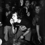 Cover art for Orchid Lyrics