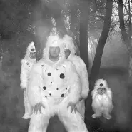 Cover art for Copal lyrics by Coil