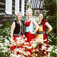 Cover art for Tuulilta Tuleva lyrics by Värttinä