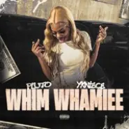 Cover art for Whim Whamiee lyrics by PLUTO & YKNIECE
